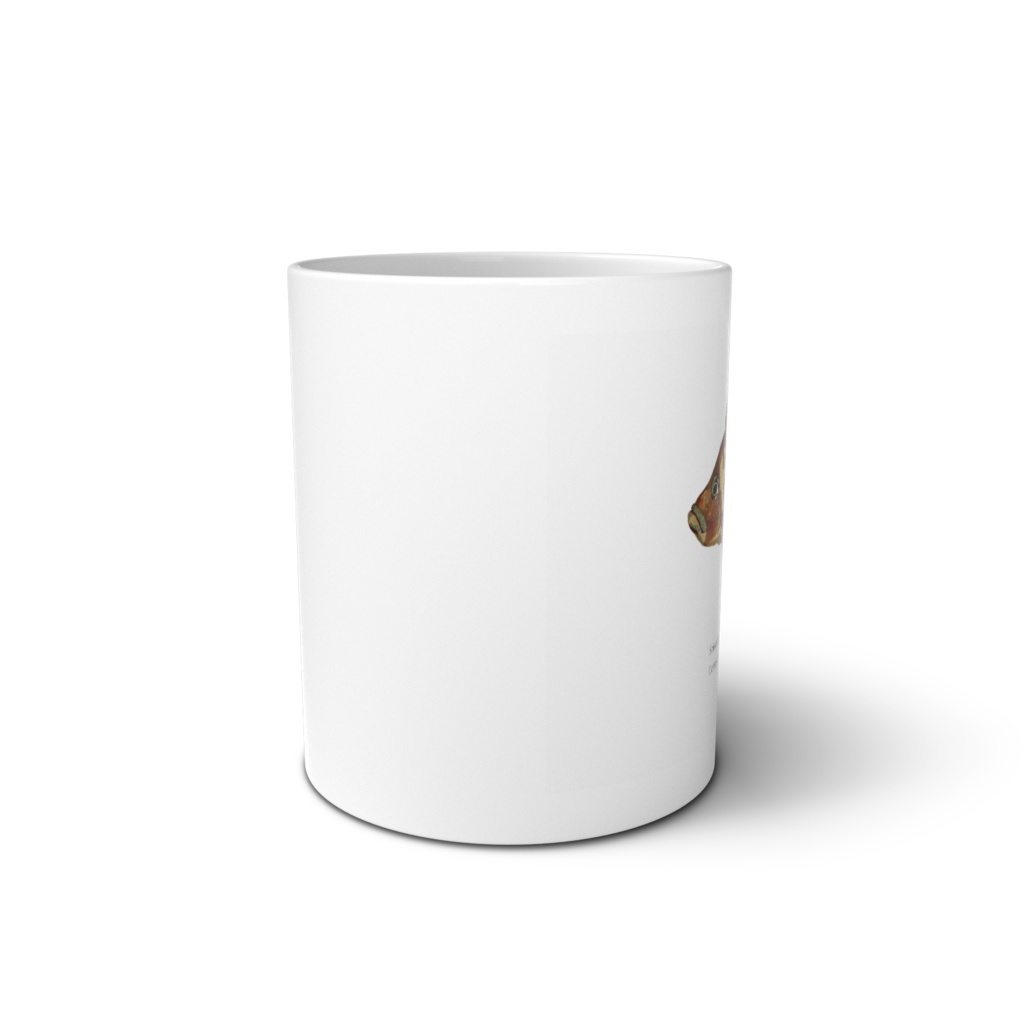 Osakanacraft Mug Cichlid African Altolamprologus compressiceps