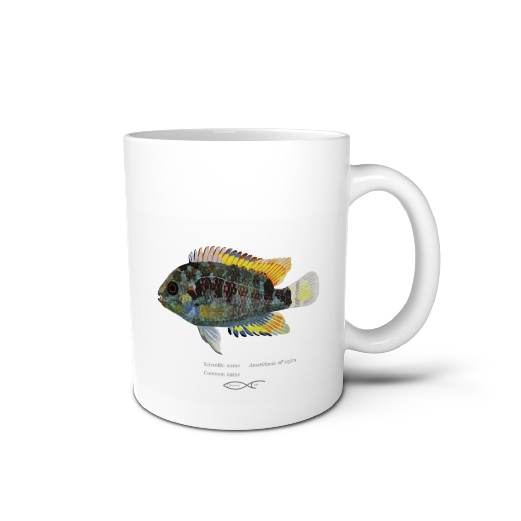 Osakanacraft Mug Cichlid Central America Amatitlania aff sajica