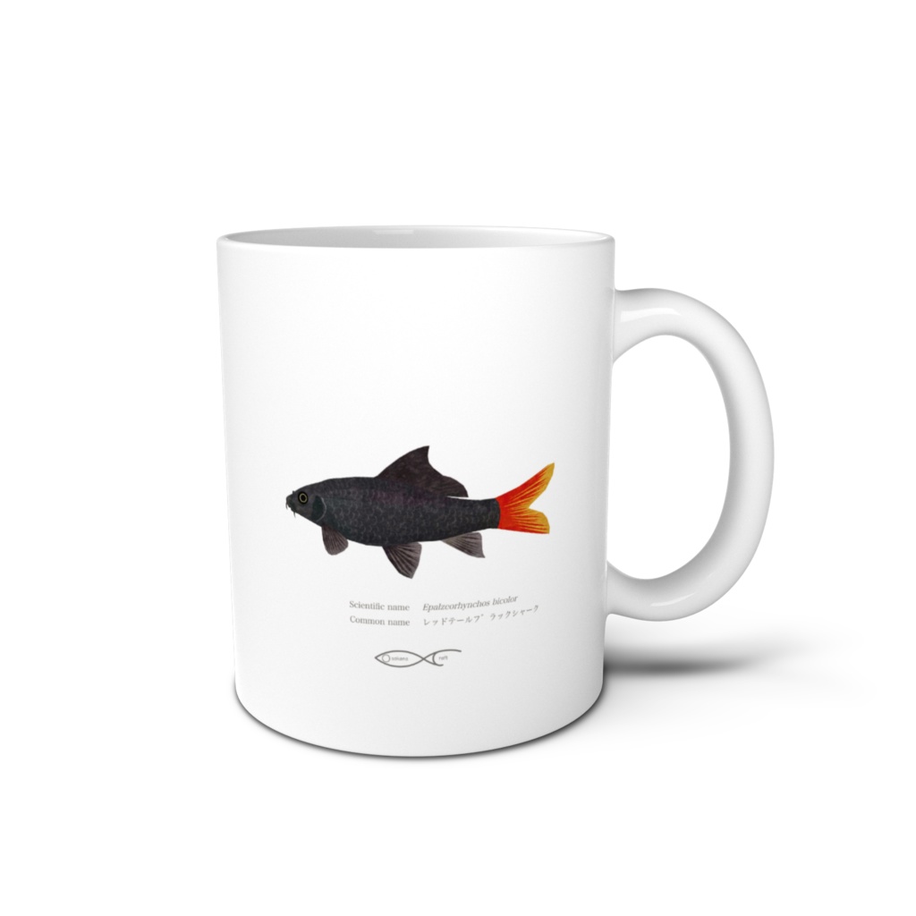 Osakanacraft Mug Crypriniforms Epalzeorhynchos bicolor（レッドテールブラックシャーク）