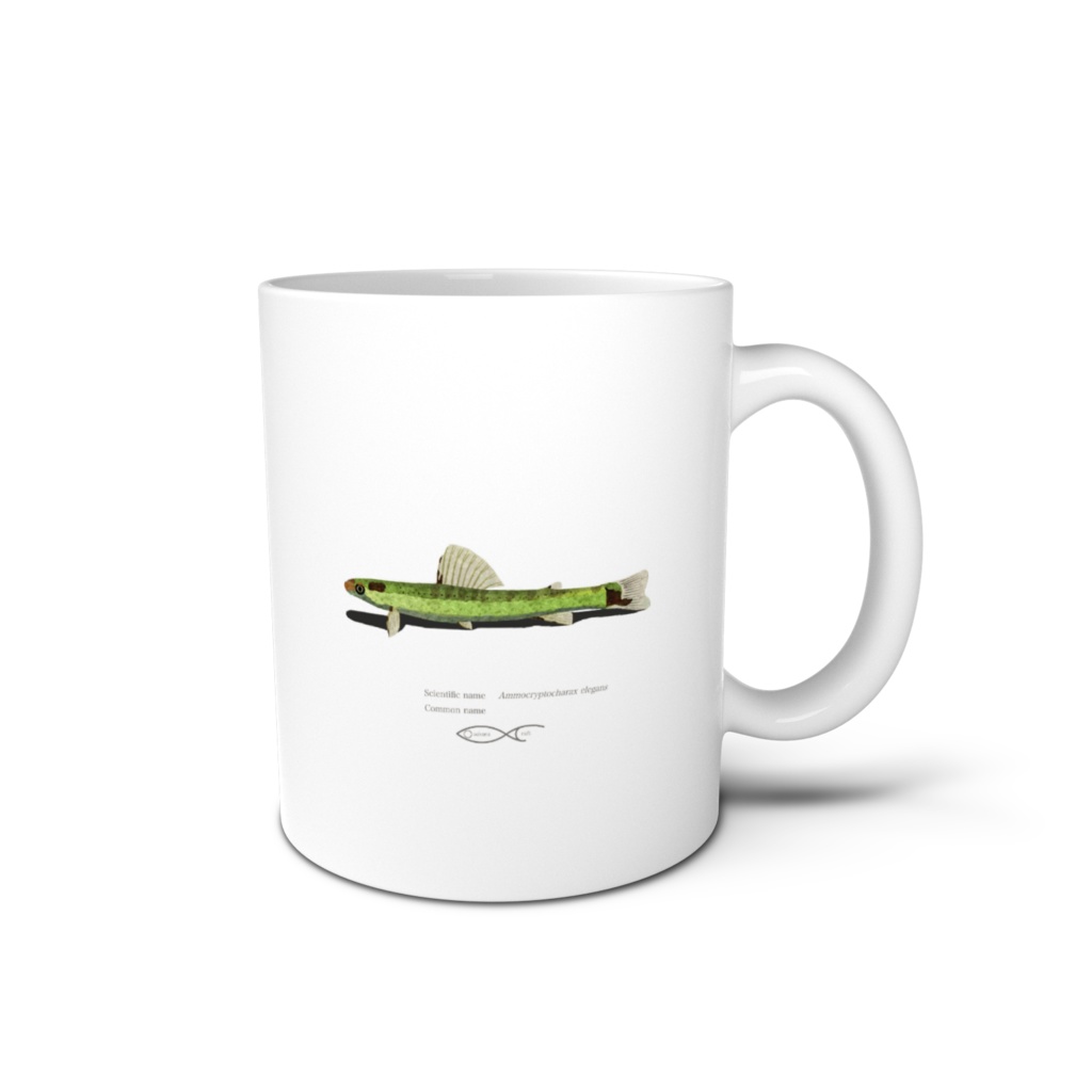Osakanacraft Mug Darter Tetra Ammocryptocharax elegans