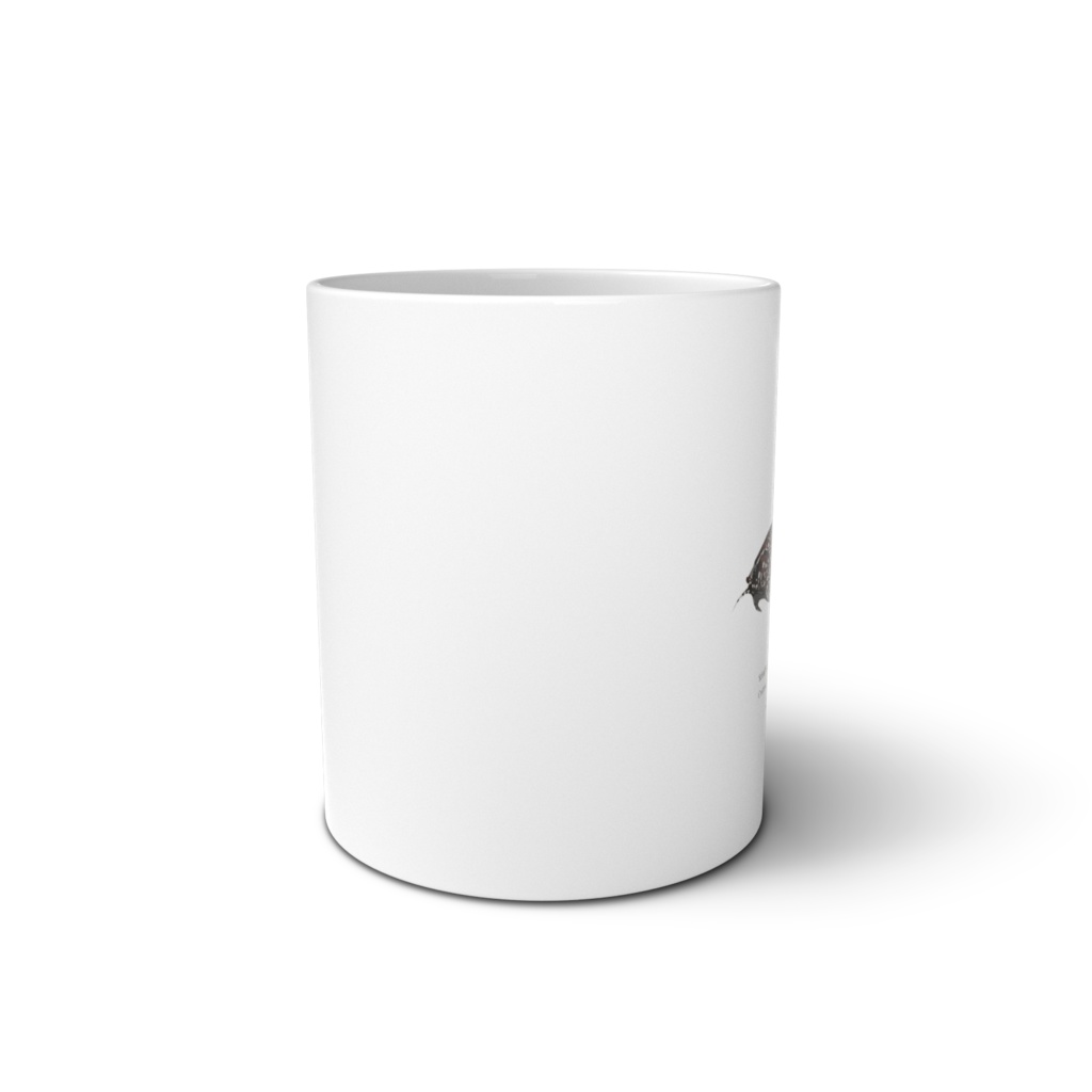 Osakanacraft Mug Doradidae(Doras) Agamyxis pectinifrons