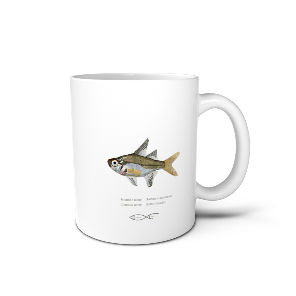 Osakanacraft Mug Glassfishes Ambassis agrammus（Sailfin Glassfish）