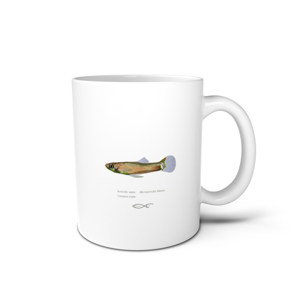 Osakanacraft Mug Guppy Wild Micropoecilia bifurca