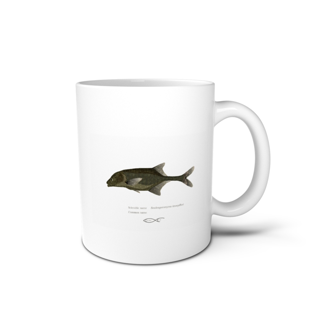 Osakanacraft Mug Mormyrinae Boulengeromyrus knoepffleri