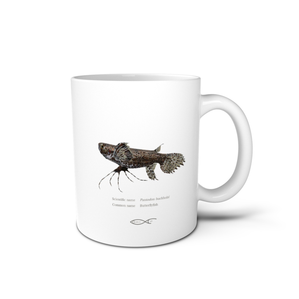 Osakanacraft Mug Pantodontidae Pantodon buchholzi（Butterflyfish）