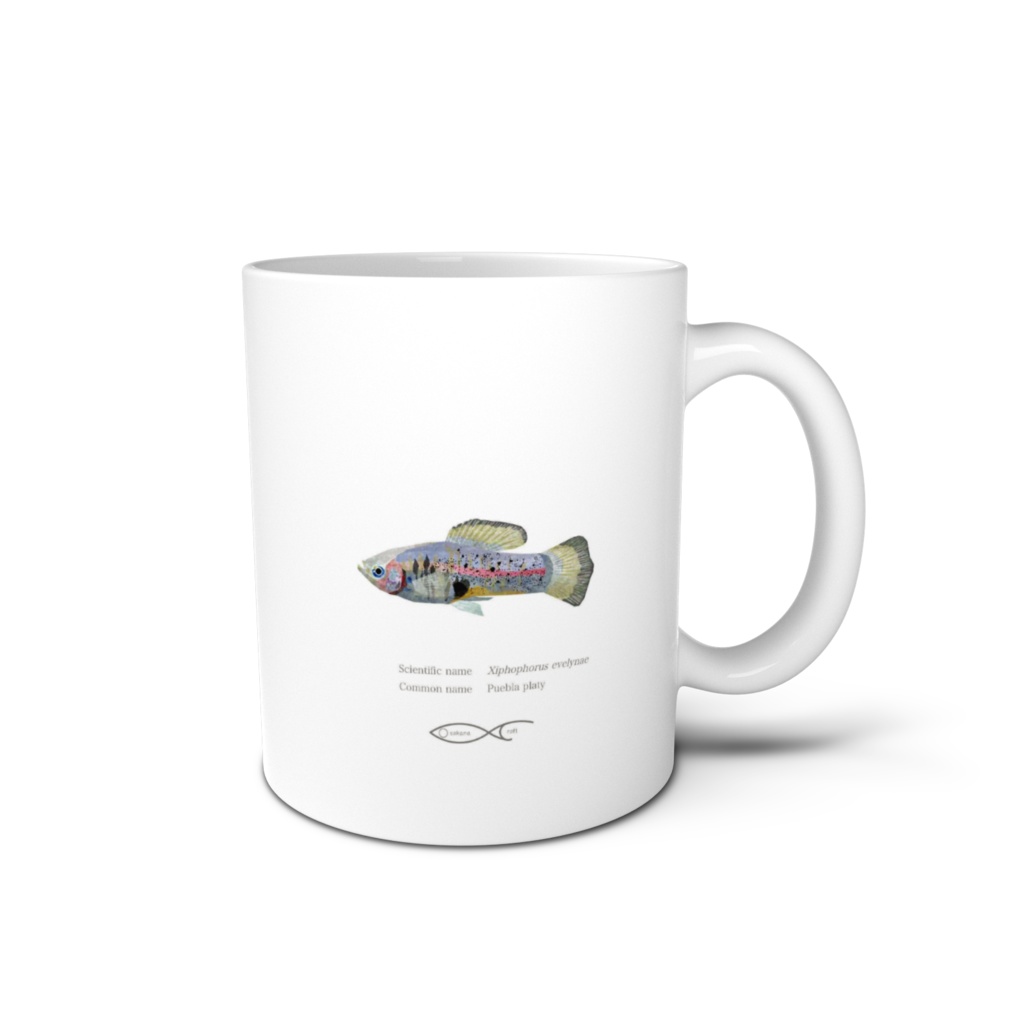 Osakanacraft Mug Platy Xiphophorus evelynae(Puebla platy)