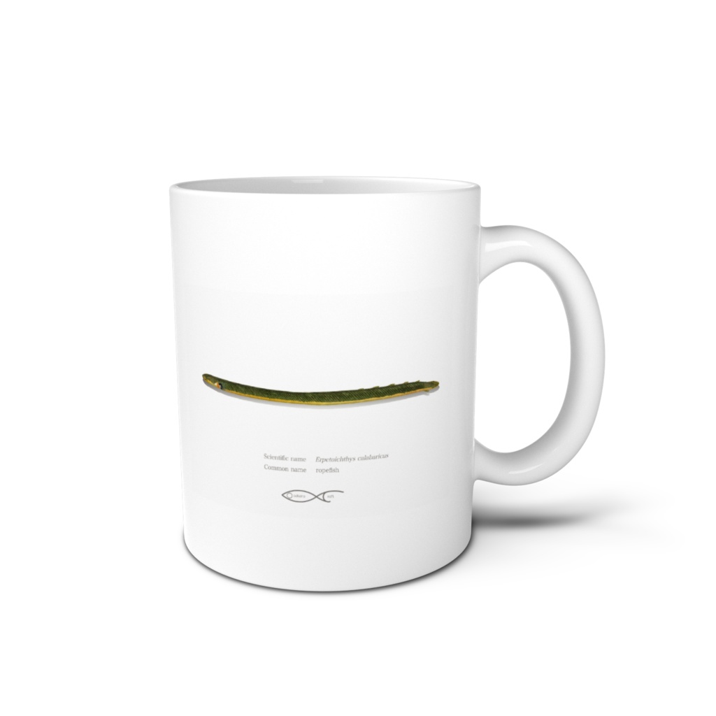 Osakanacraft Mug Polypterus Erpetoichthys calabaricus