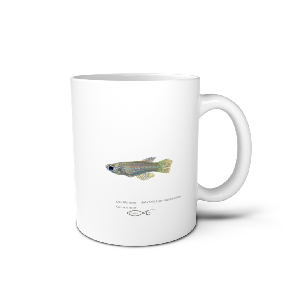 Osakanacraft Mug Procatopodinae Aplocheilichthys macrophthalmus