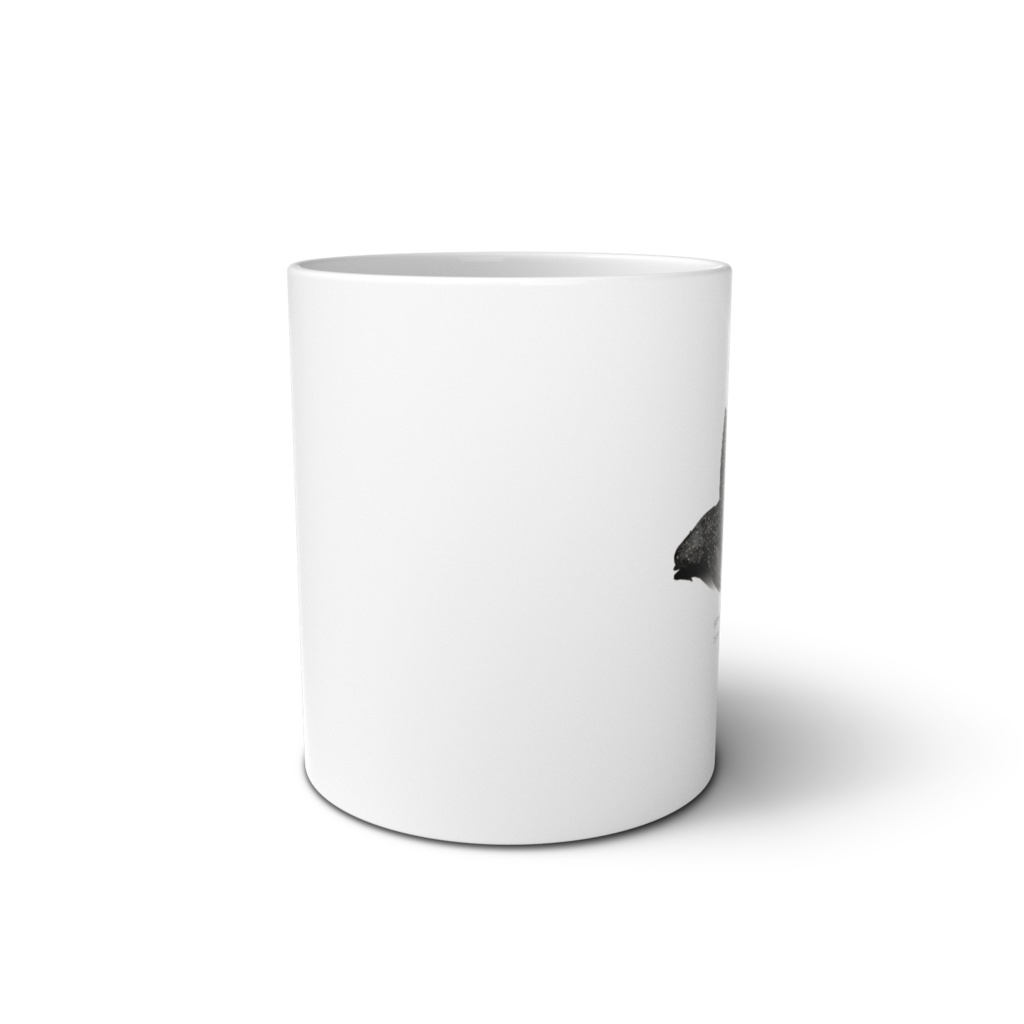 Osakanacraft Mug Pseudacanthicus Pseudacanthicus fordii