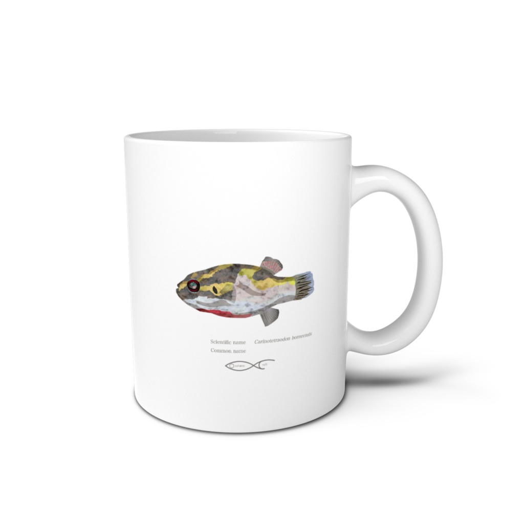 Osakanacraft Mug Puffer Carinotetraodon borneensis