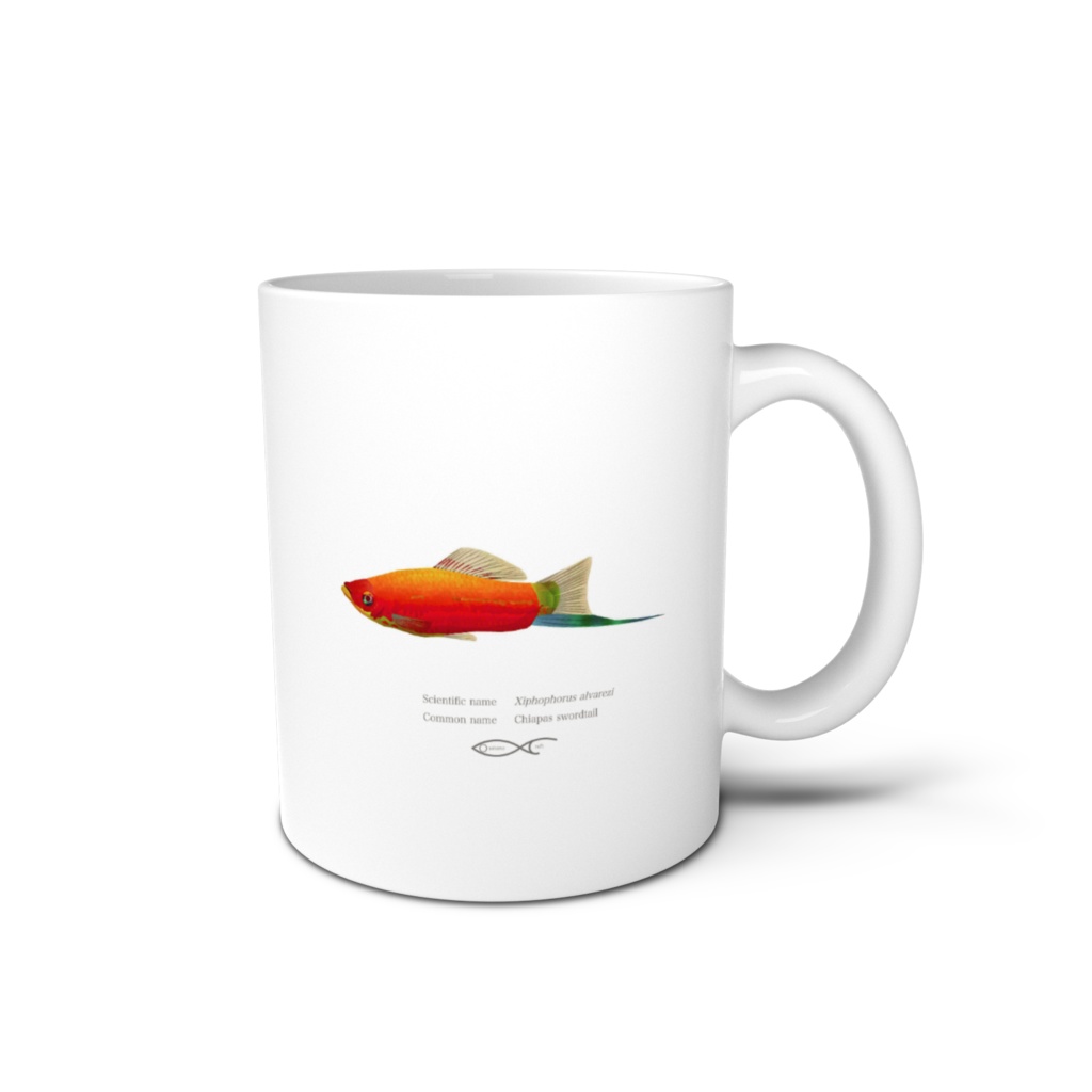 Osakanacraft Mug Xiphophorus(Swordtails）Xiphophorus alvarezi(Chiapas swordtail)
