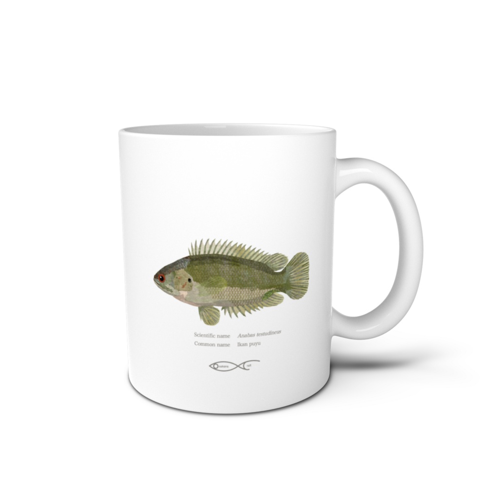 Osakanacraft Mug Anabas Anabas testudineus(Ikan puyu)