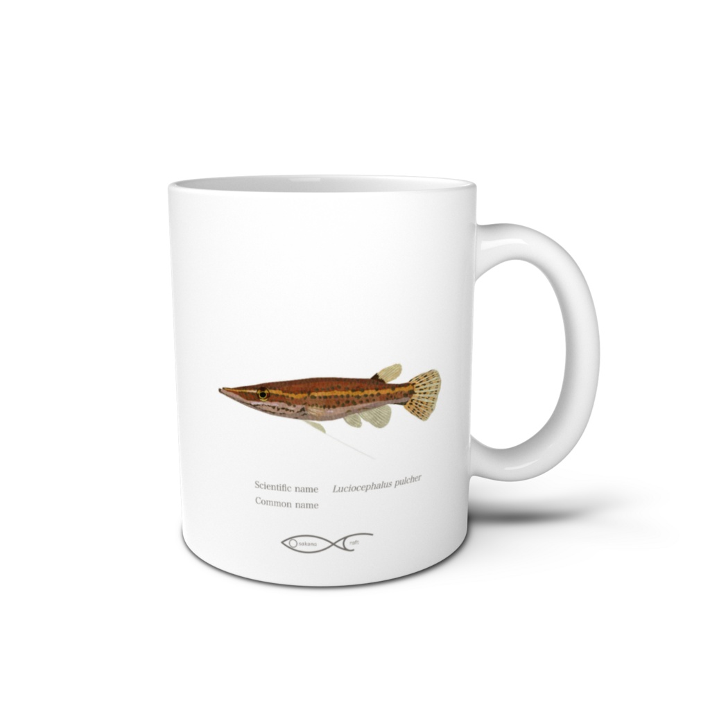 Osakanacraft Mug Anabas Luciocephalus pulcher