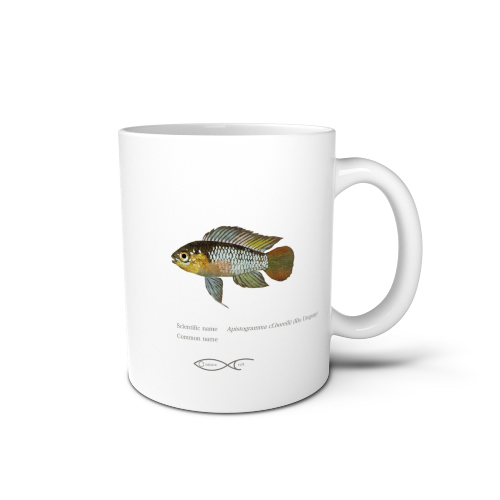 Osakanacraft Mug Apistogramma cf.borellii (Rio Uruguay)