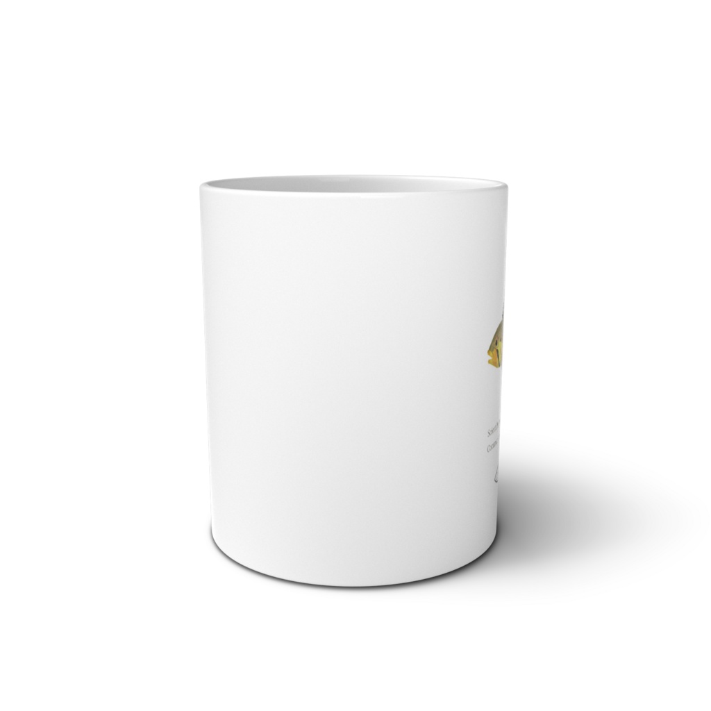 Osakanacraft Mug Apistogramma cf.norberti