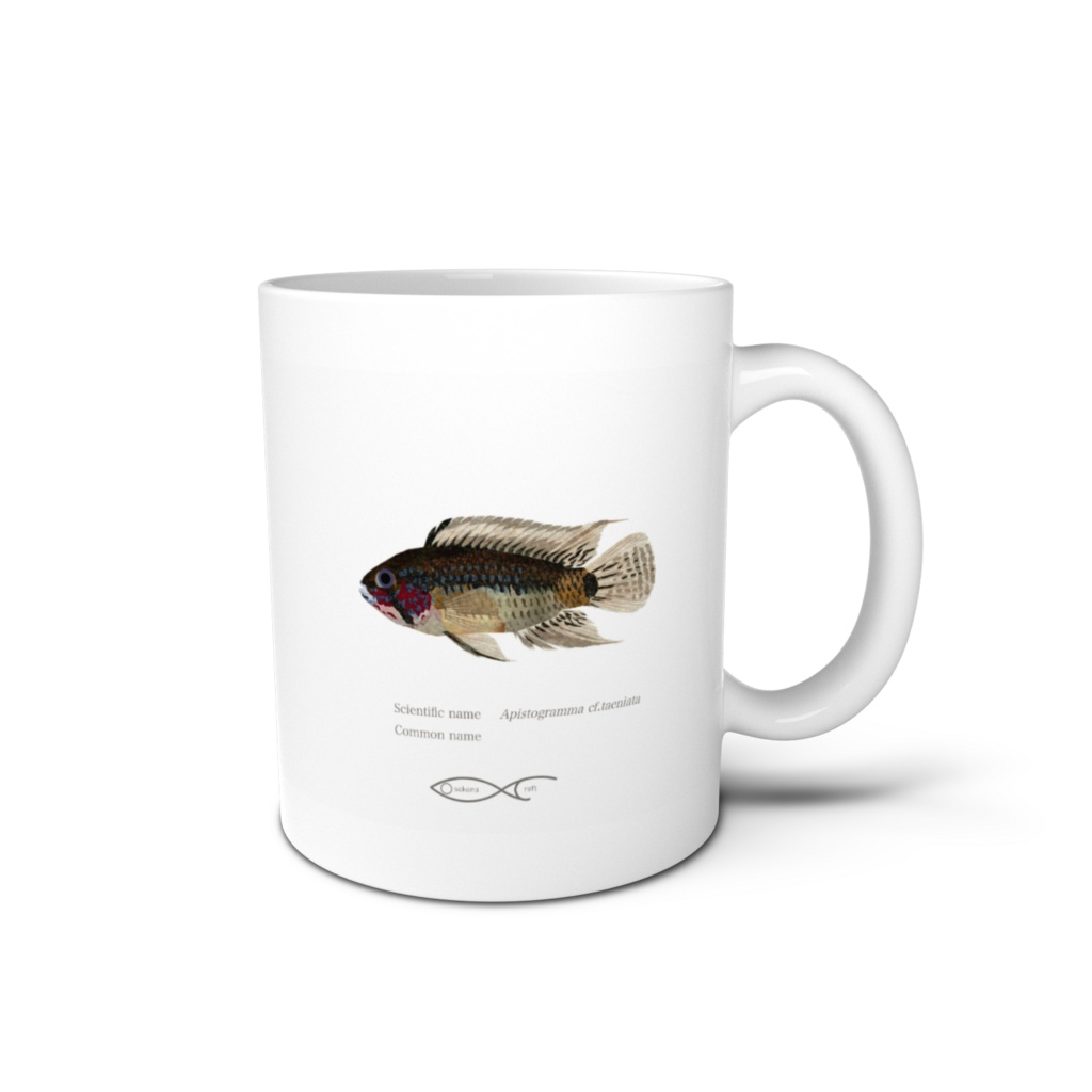 Osakanacraft Mug Apistogramma cf.taeniata