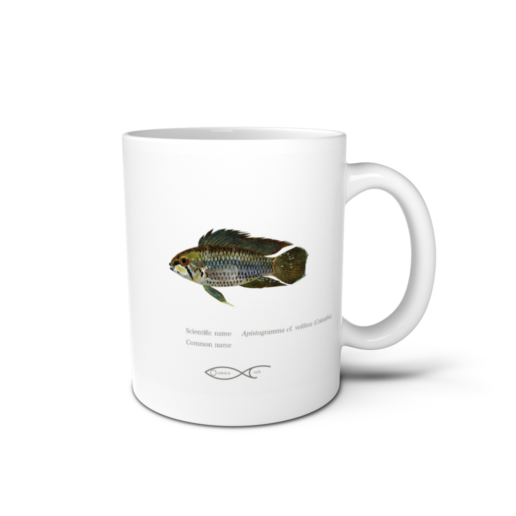Osakanacraft Mug Apistogramma cf.velifera (Colombia)