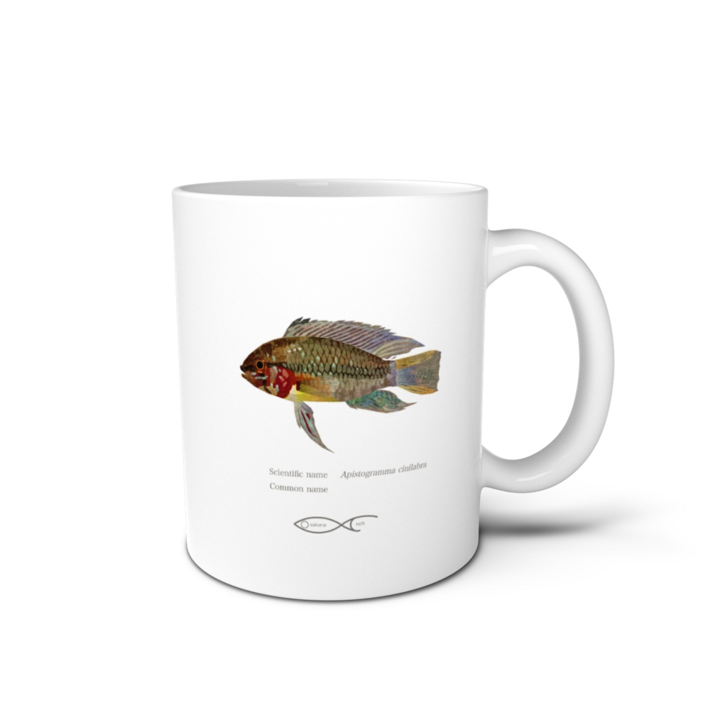 Osakanacraft Mug Apistogramma cinilabra