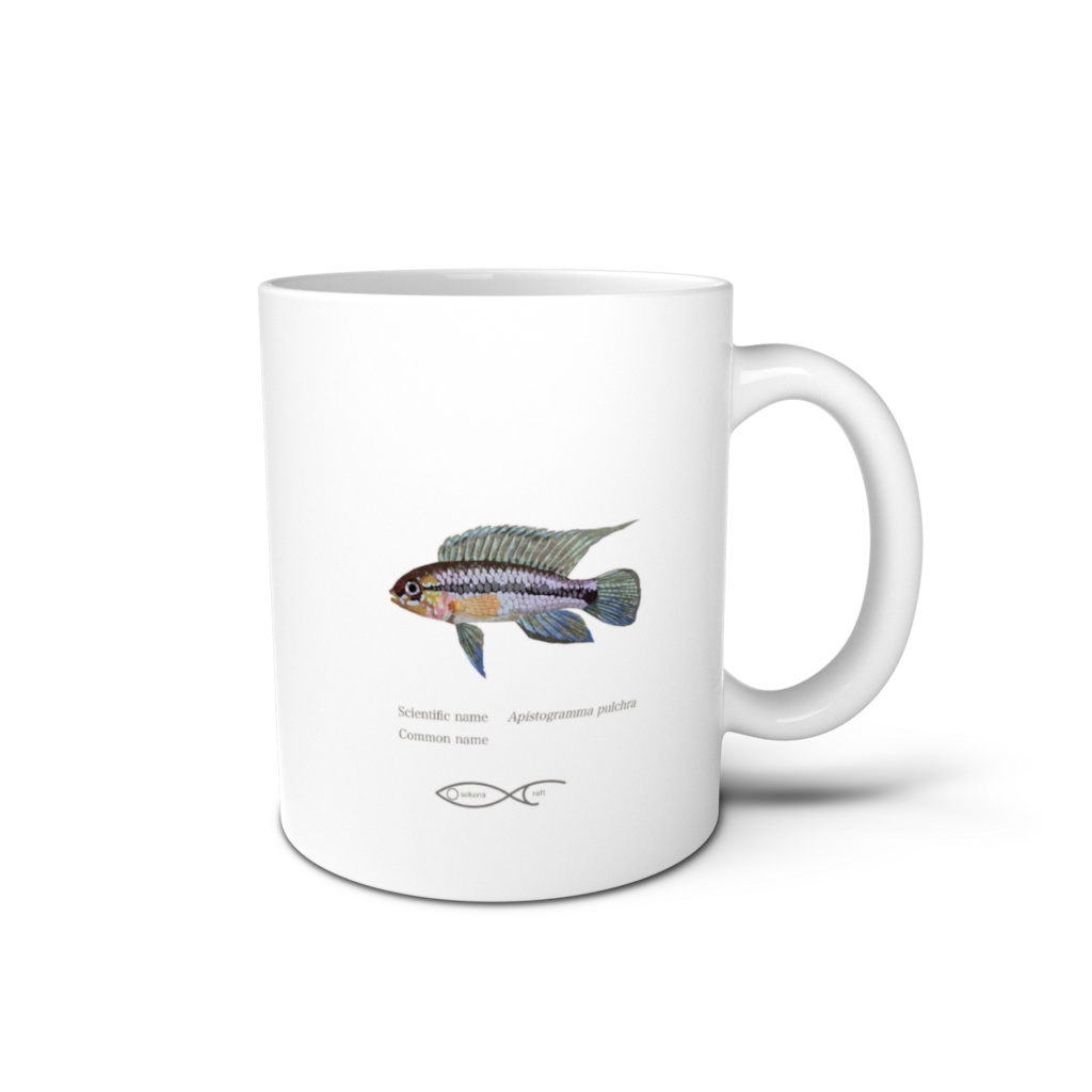 Osakanacraft Mug Apistogramma pulchra