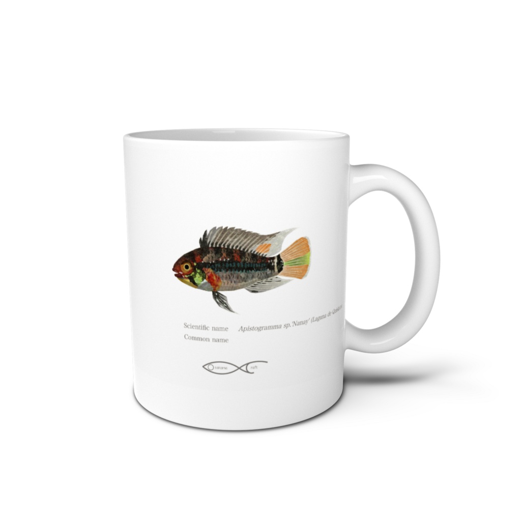Osakanacraft Mug Apistogramma sp.'Nanay' (Laguna de Quistococha)