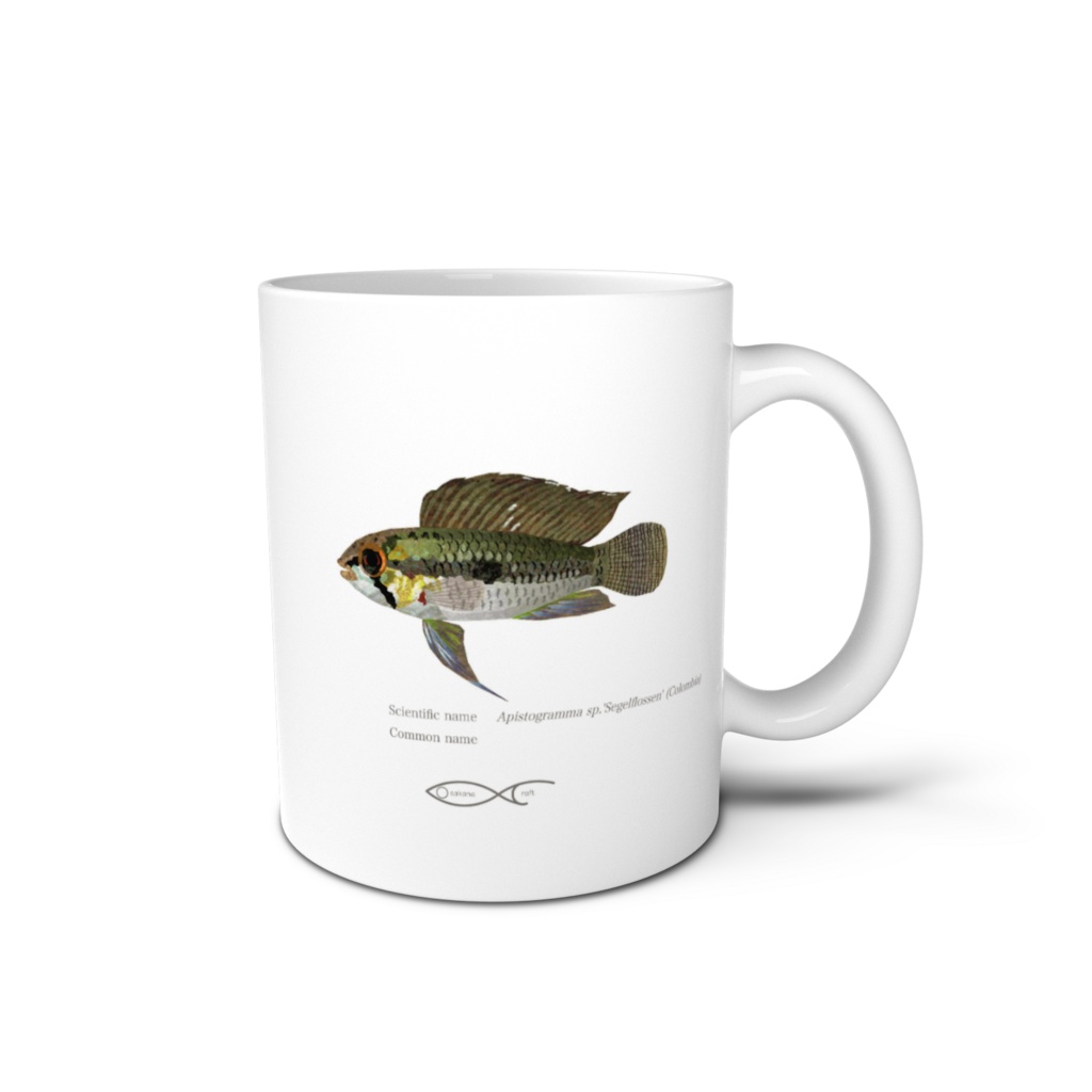 Osakanacraft Mug Apistogramma sp.'Segelflossen' (Colombia)