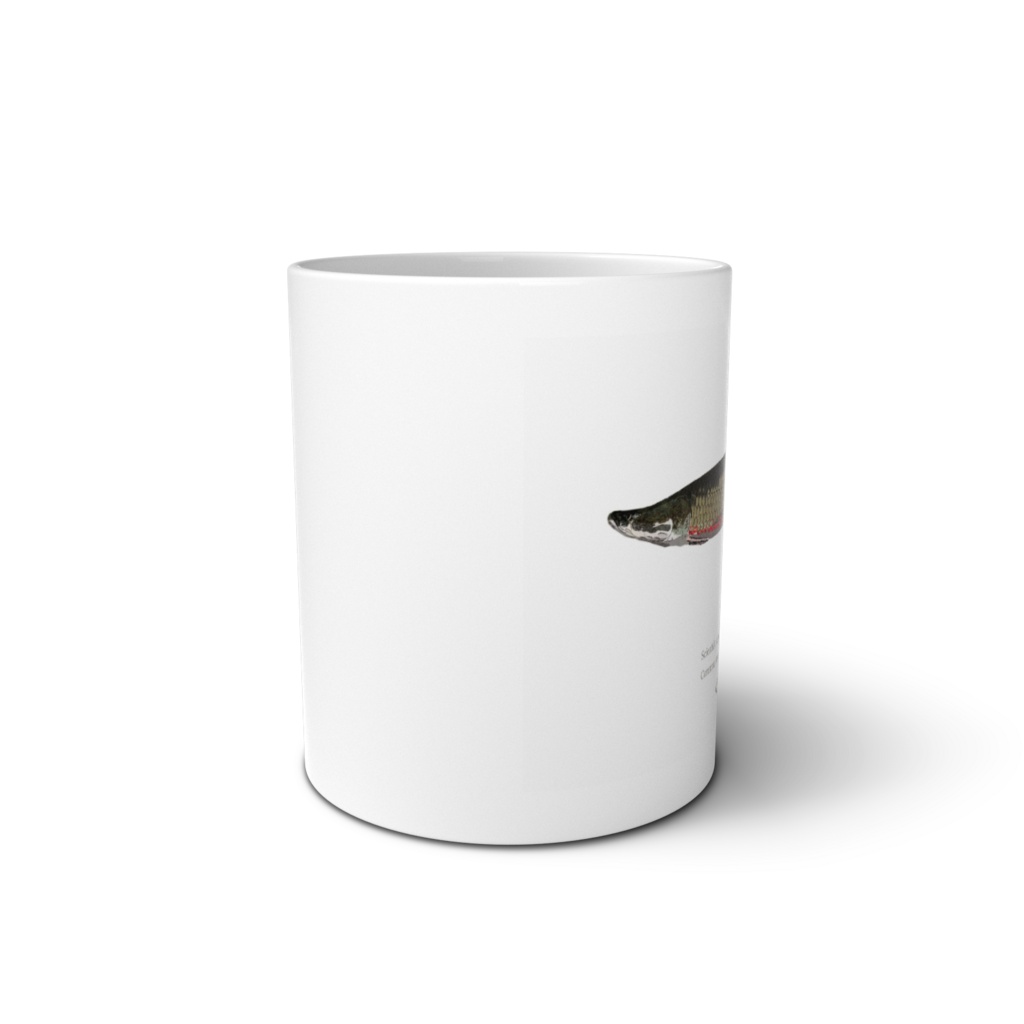 Osakanacraft Mug Arapaima cf arapaima