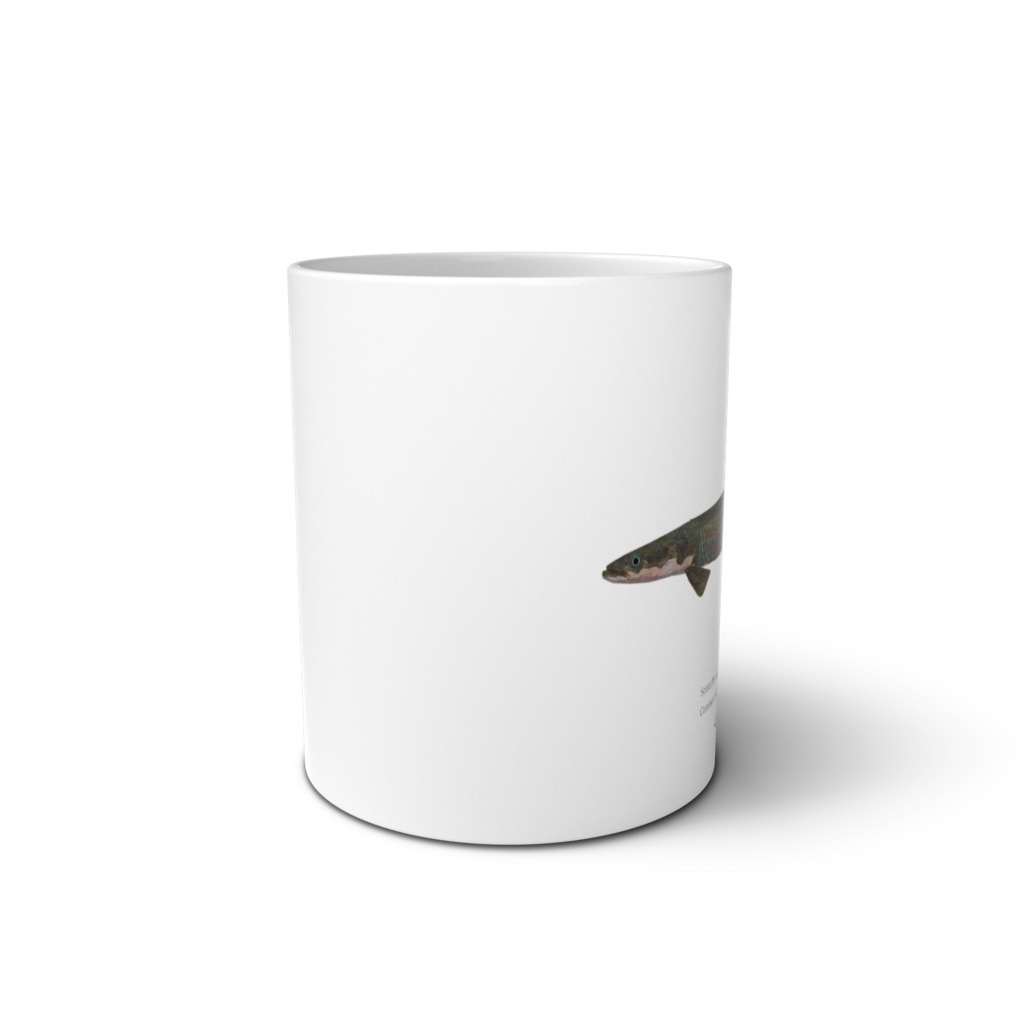 Osakanacraft Mug Arapaima leptosoma