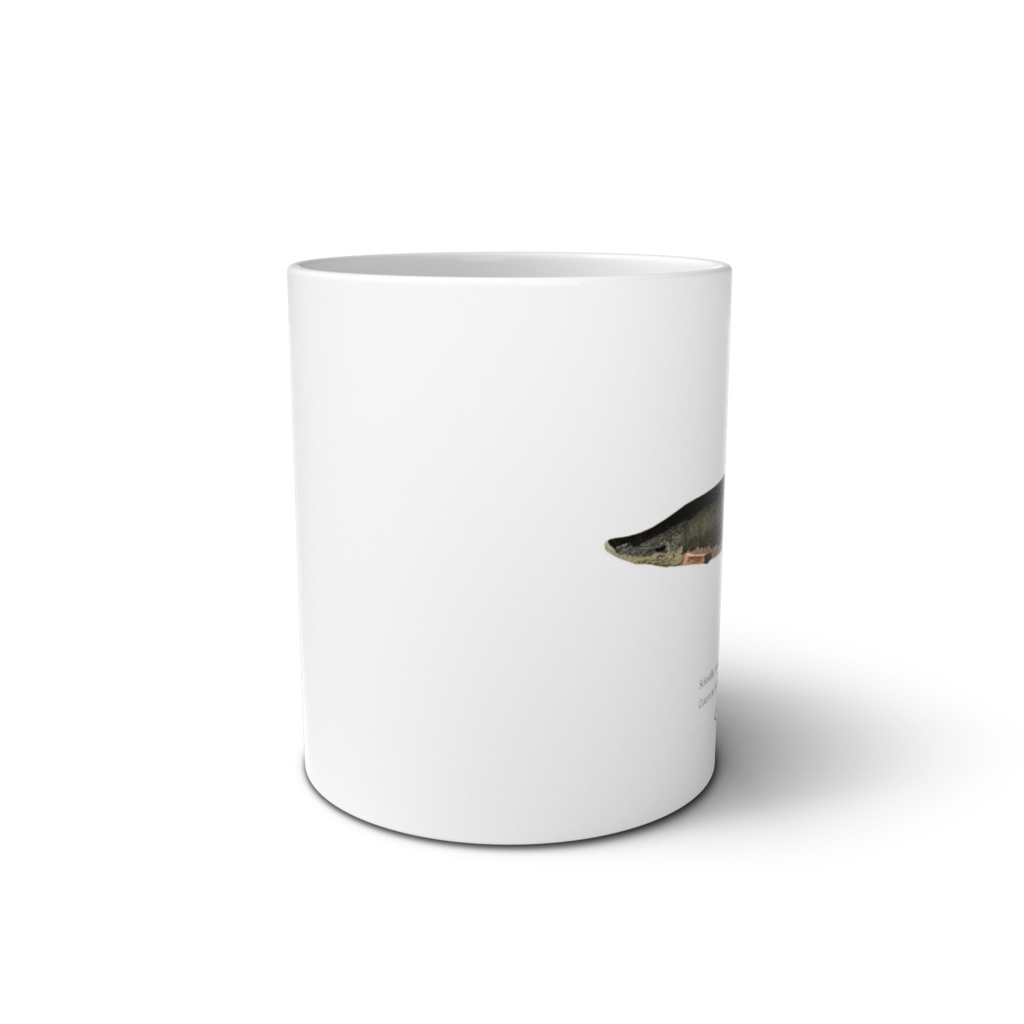 Osakanacraft Mug Arapaima sp. from Guyana