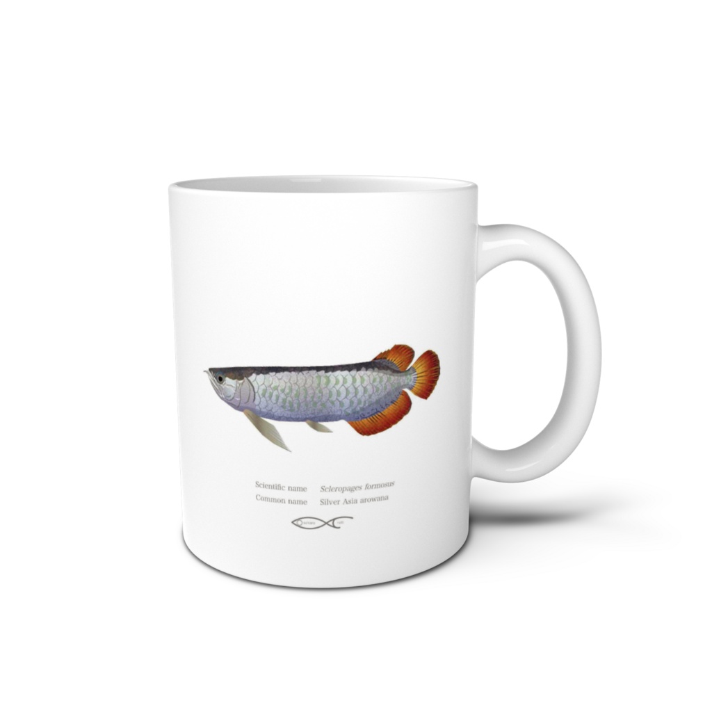 Osakanacraft Mug Arowana Scleropages formosus（Silver Asia arowana）