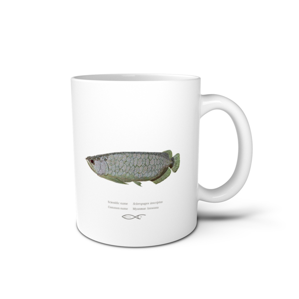 Osakanacraft Mug Arowana Scleropages inscriptus (Myanmar Arowana)