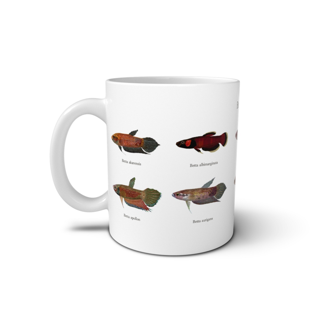 Osakanacraft Mug Betta Wild 1