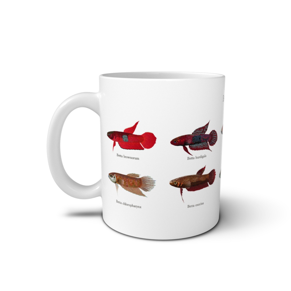 Osakanacraft Mug Betta Wild 2