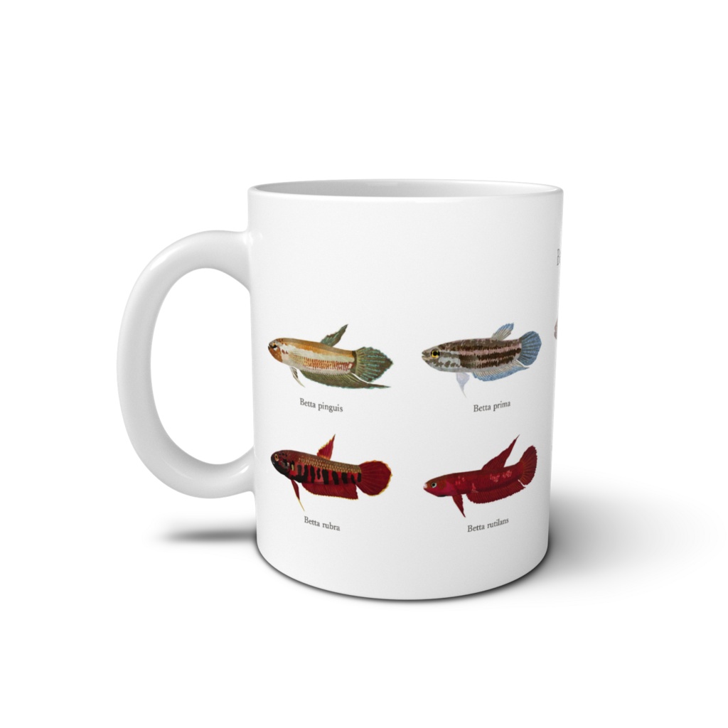 Osakanacraft Mug Betta Wild 6