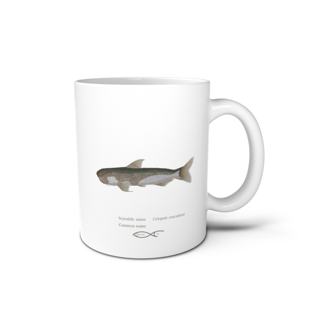 Osakanacraft Mug Catfish Other Candiru Cetopsis coecutiens