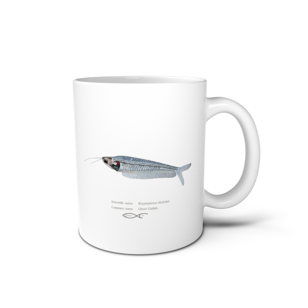 Osakanacraft Mug Catfish Other Kryptopterus bicirrhis(Ghost Catfish)