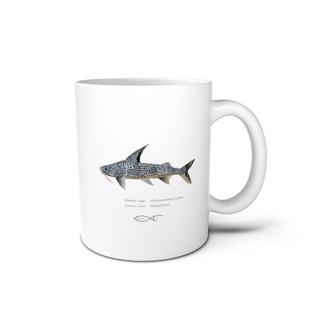 Osakanacraft Mug Catfish Other Platynematichthys notatus
