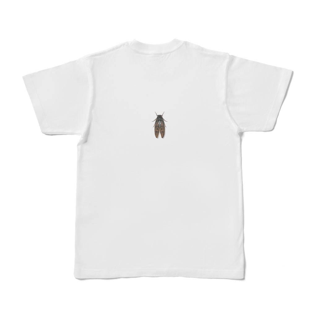 セミTシャツ