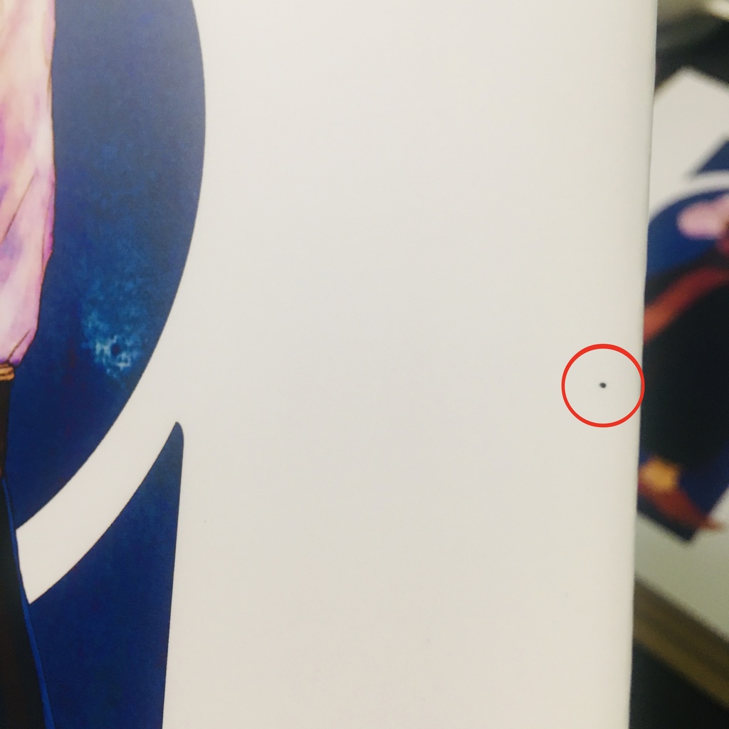 【匿名配送】【初期汚れあり】JOJO珠魅パロWEB再録本(2冊組)カラー設定集+承花シーン漫画本