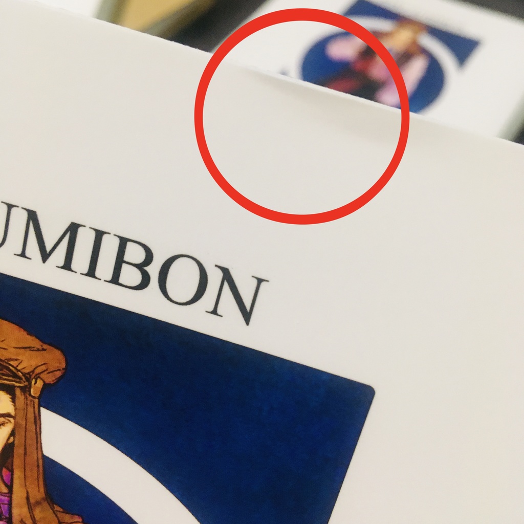 【匿名配送】【初期汚れあり】JOJO珠魅パロWEB再録本(2冊組)カラー設定集+承花シーン漫画本