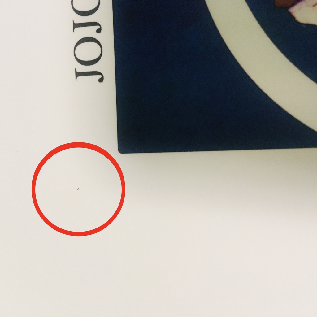 【匿名配送】【初期汚れあり】JOJO珠魅パロWEB再録本(2冊組)カラー設定集+承花シーン漫画本