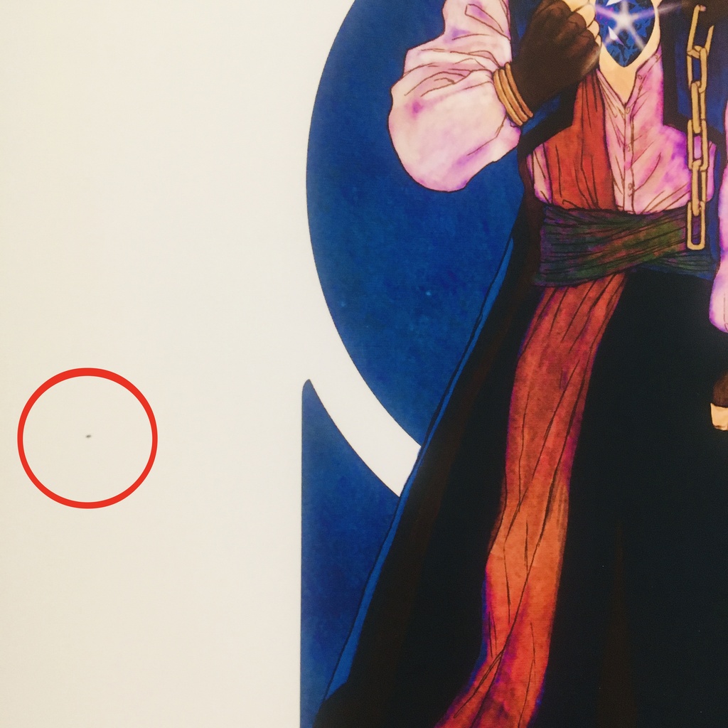 【匿名配送】【初期汚れあり】JOJO珠魅パロWEB再録本(2冊組)カラー設定集+承花シーン漫画本