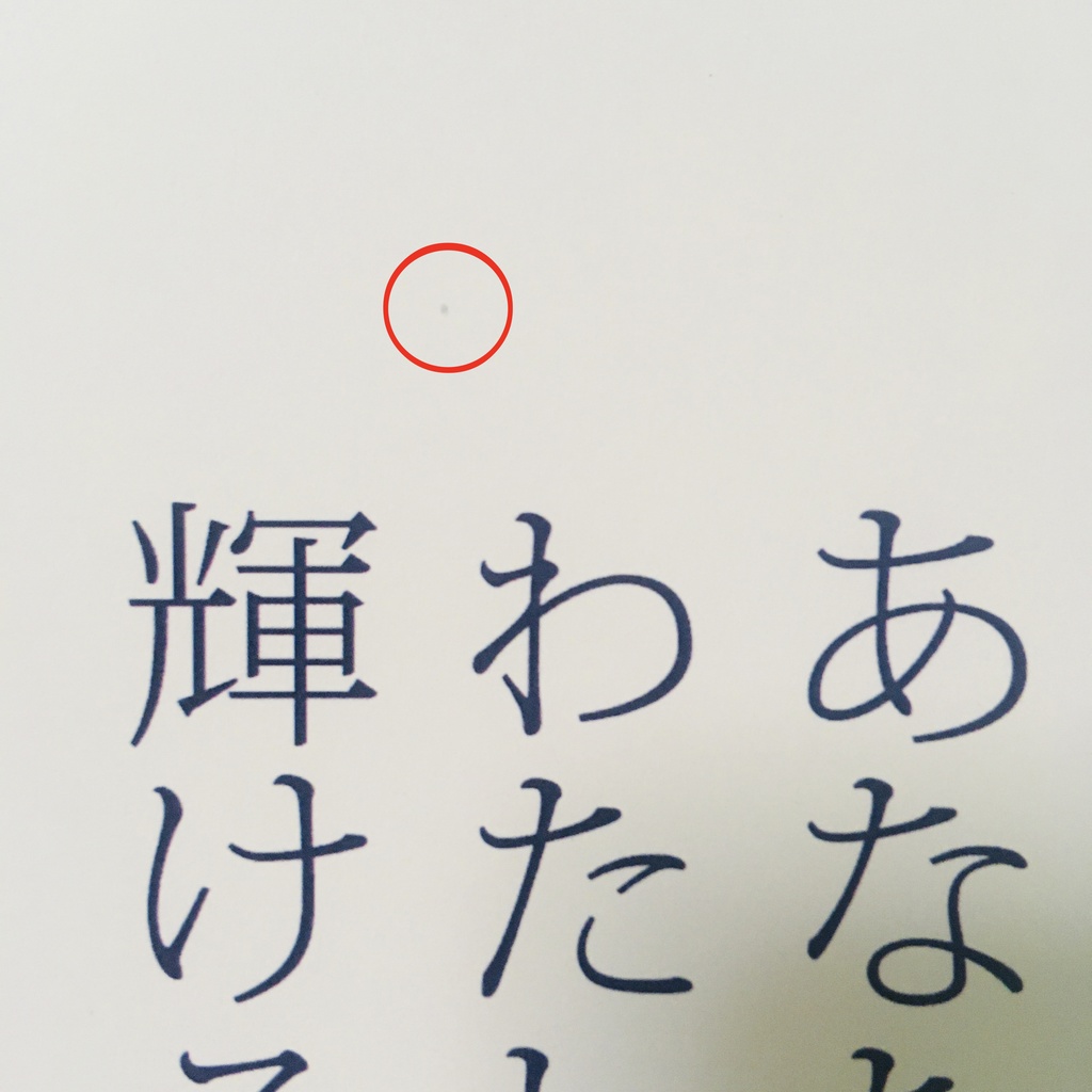 【匿名配送】【初期汚れあり】JOJO珠魅パロWEB再録本(2冊組)カラー設定集+承花シーン漫画本