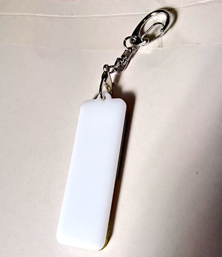 キラキラニャンたぬぶしアクキー【再版】