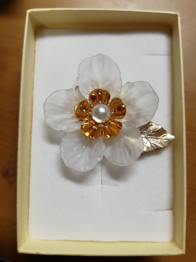 山荷葉の眼差し