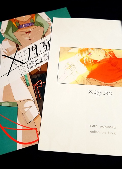 ×２９.３０