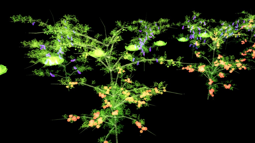 触れる?!農園パーティクル