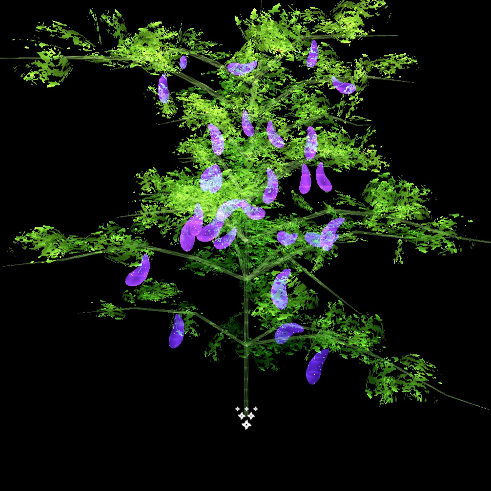 触れる?!農園パーティクル
