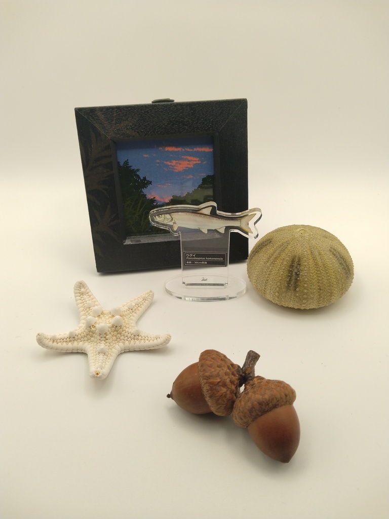 風景と飾るいきものアクスタ【ウグイ】