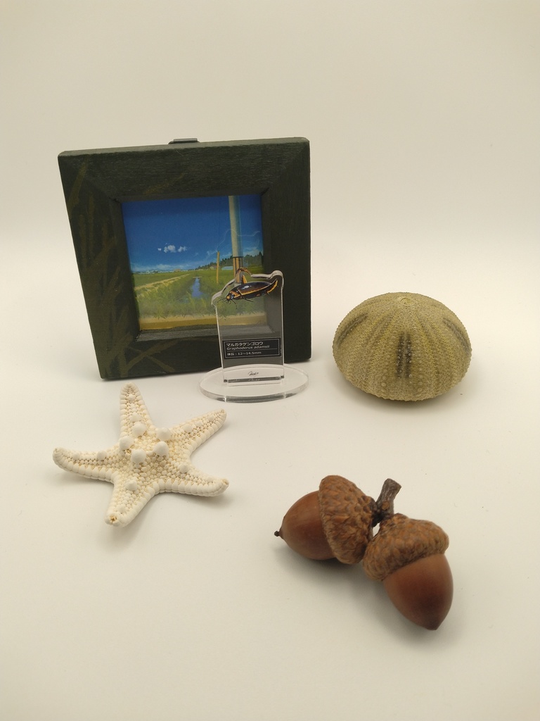 風景と飾るいきものアクスタ【マルガタゲンゴロウ】