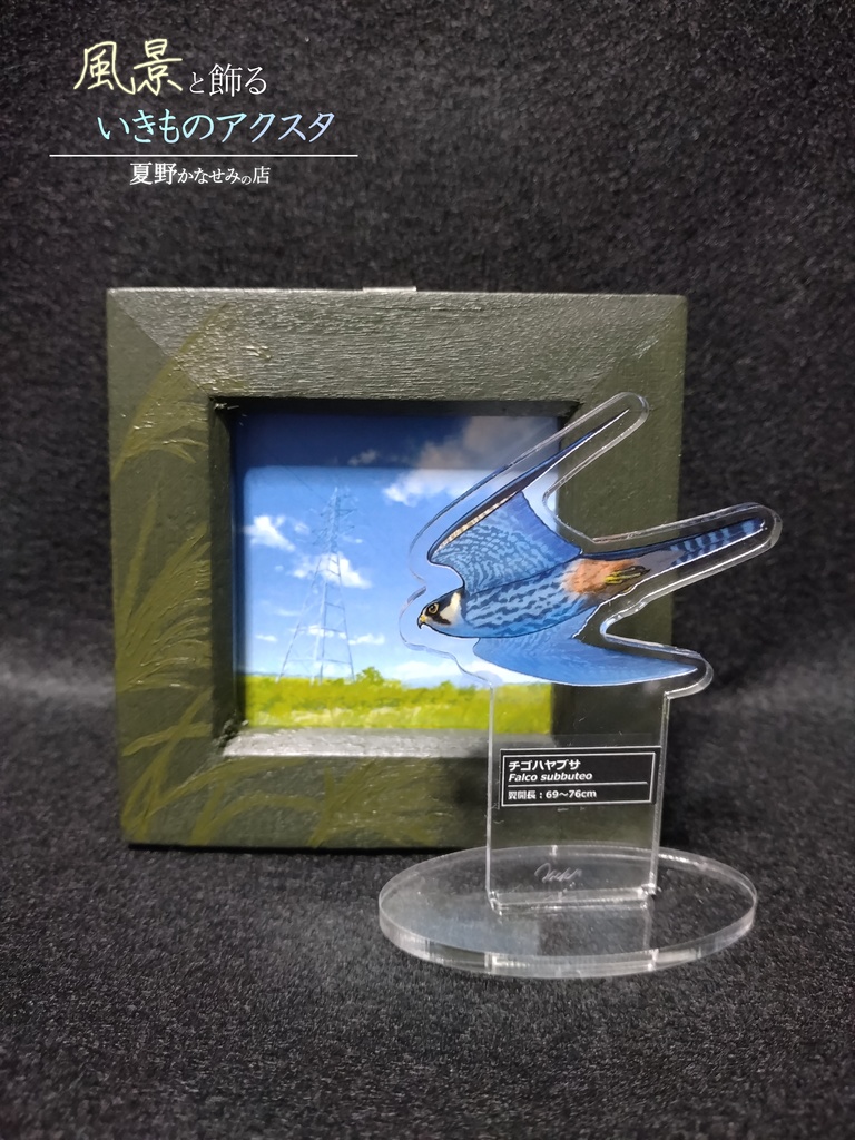 風景と飾るいきものアクスタ【チゴハヤブサ】